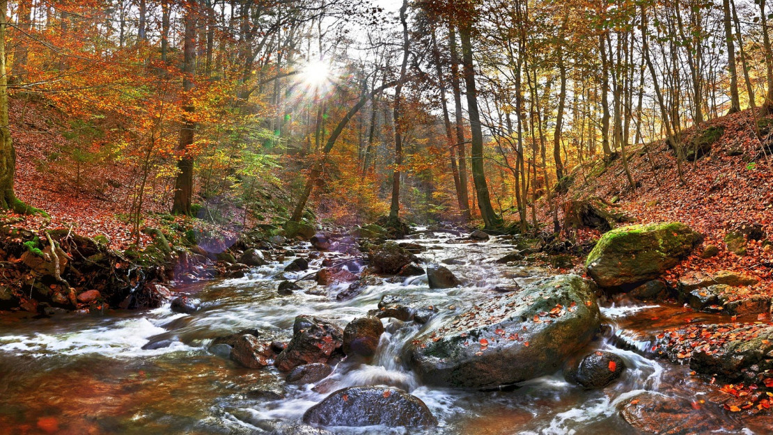 ilsetal-3724559_1920.jpg